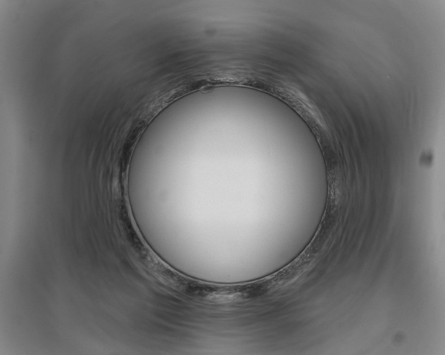 X0000095920213200801110902