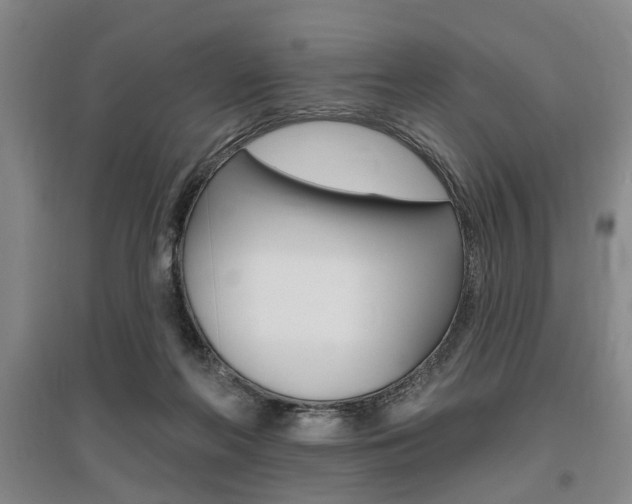 X0000095920214200801110902
