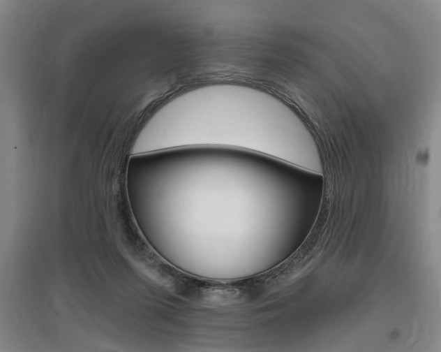 X0000095920215200801110902