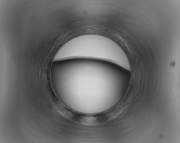 X0000095920217200801110902