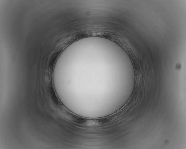 X0000095920218200801110902