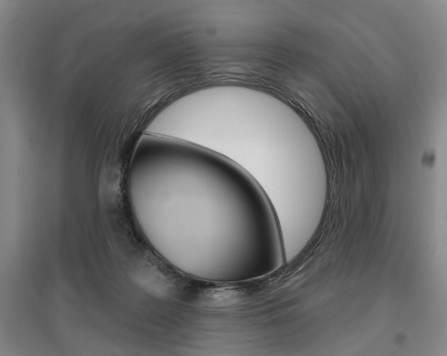 X0000095920219200801110902