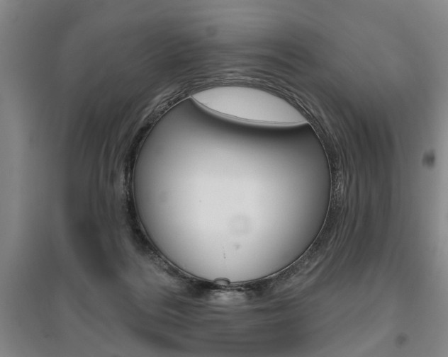 X0000095920220200801110902