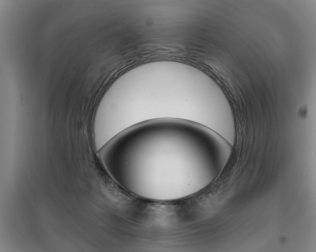 X0000095920221200801110902