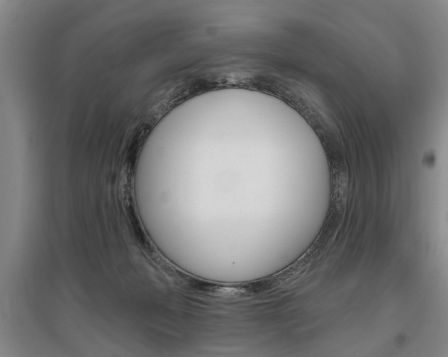 X0000095920222200801110902