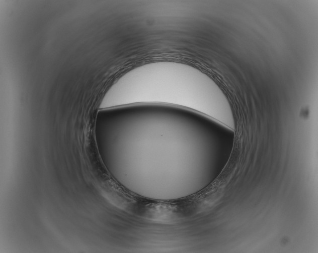 X0000095920223200801110902