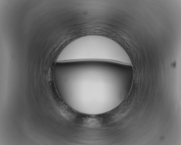 X0000095920224200801110902