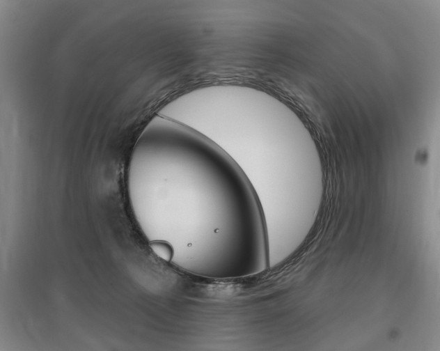 X0000095920225200801110902