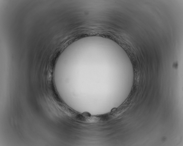 X0000095920226200801110902