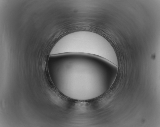 X0000095920227200801110902