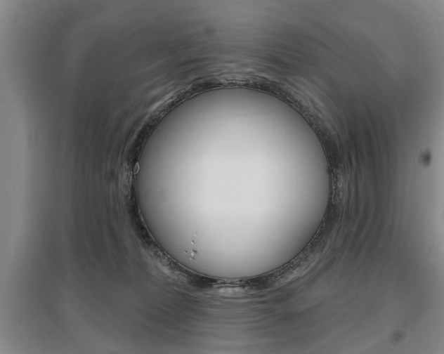 X0000095920228200801110902