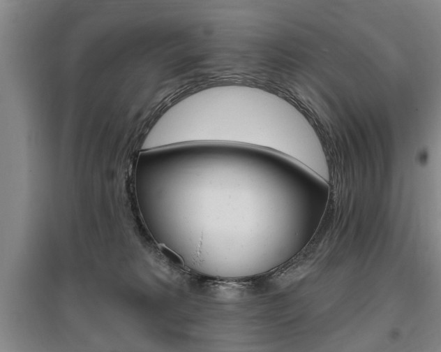 X0000095920229200801110902