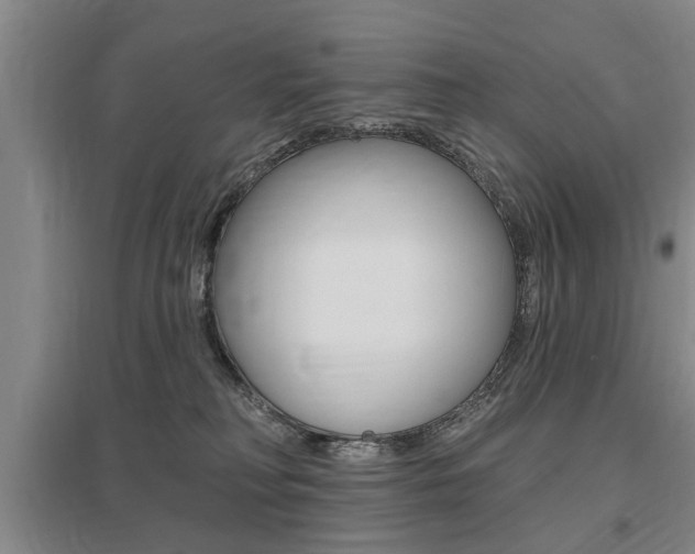 X0000095920230200801110902