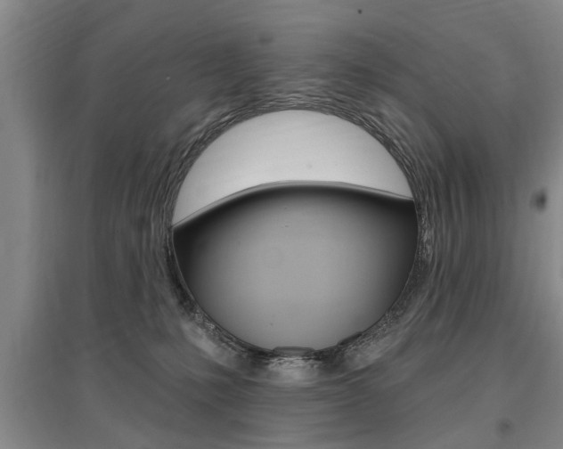 X0000095920231200801110902