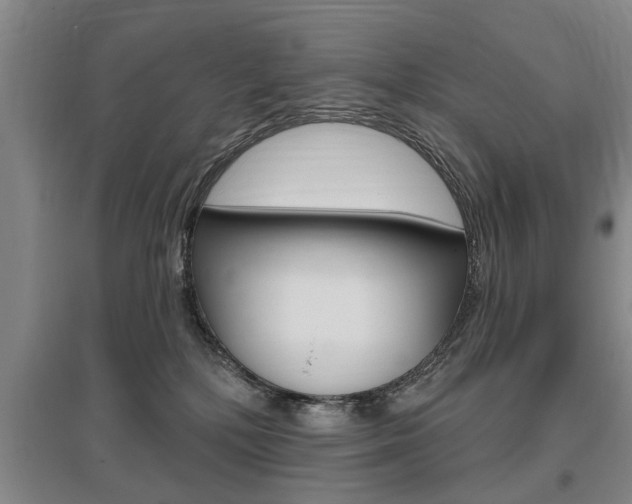 X0000095920232200801110902