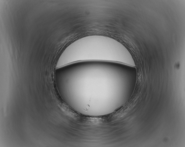 X0000095920233200801110902