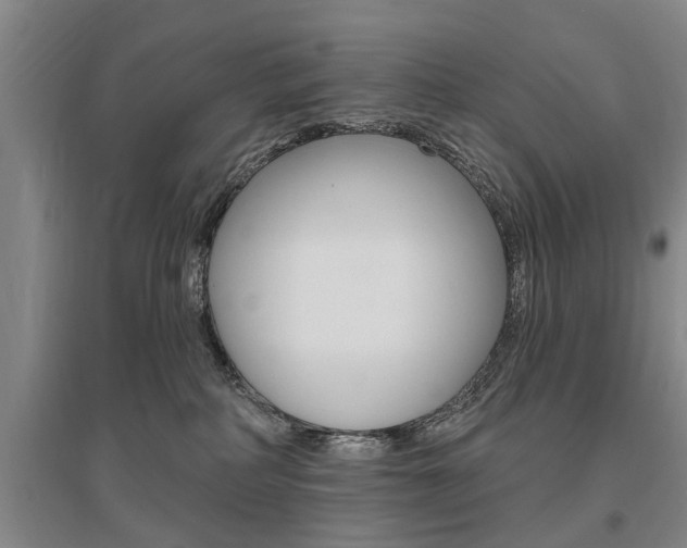 X0000095920234200801110902
