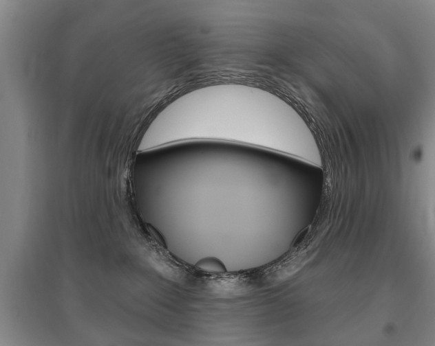 X0000095920235200801110902