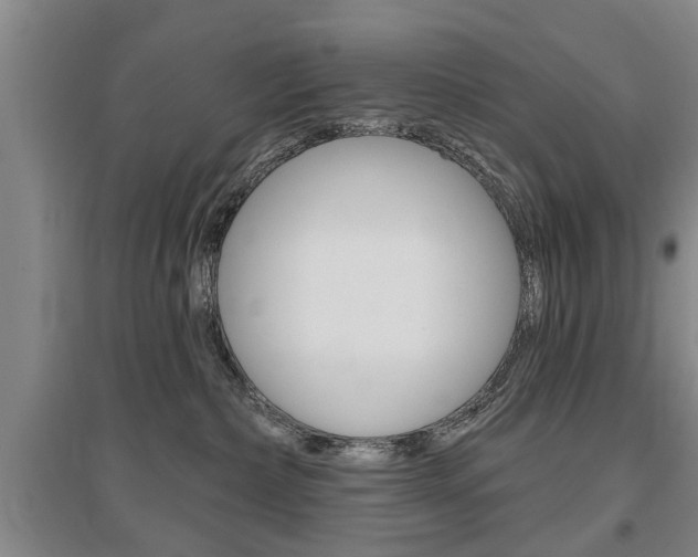 X0000095920236200801110902