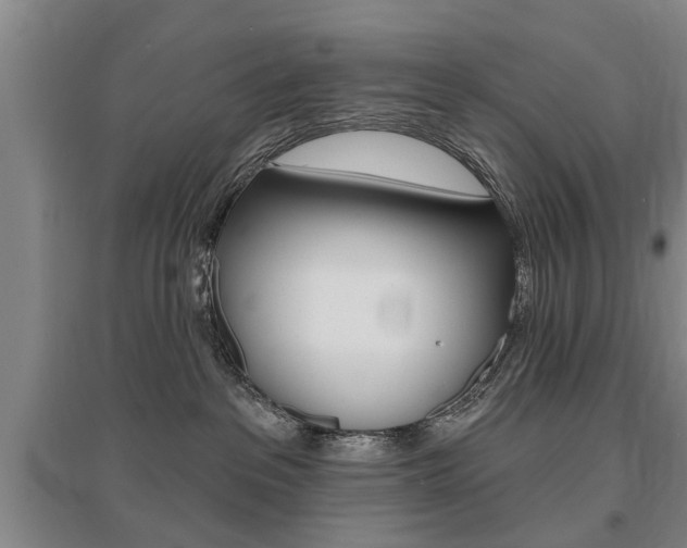 X0000095920237200801110902