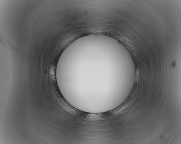X0000095920238200801110902