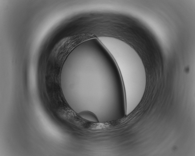 X0000095920239200801110902
