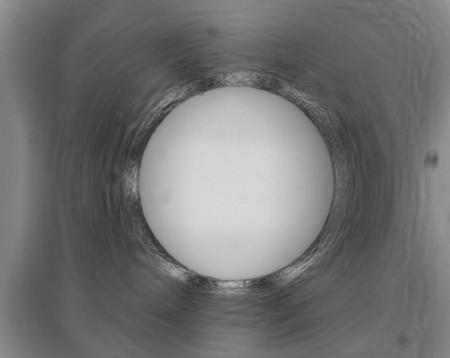 X0000095920240200801110902