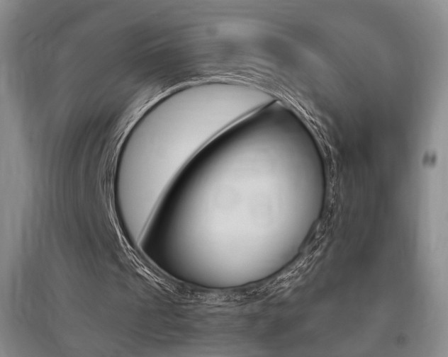 X0000095920241200801110901