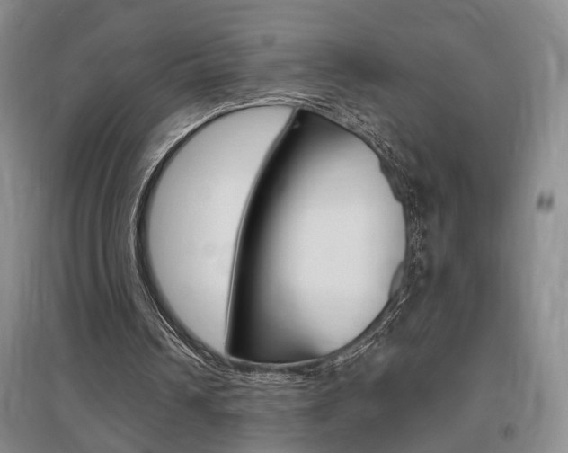 X0000095920242200801110901