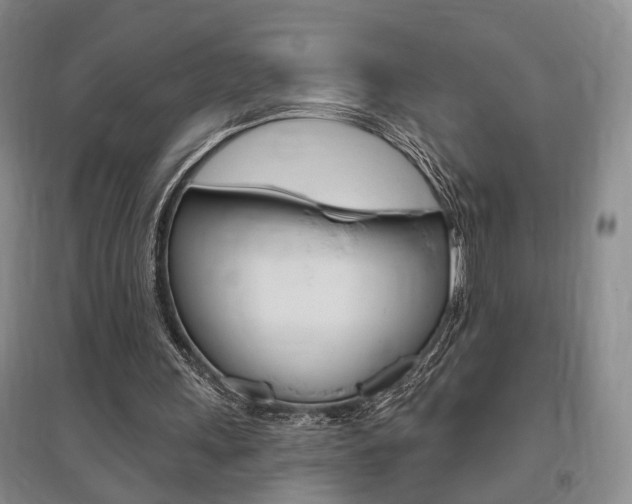 X0000095920243200801110901