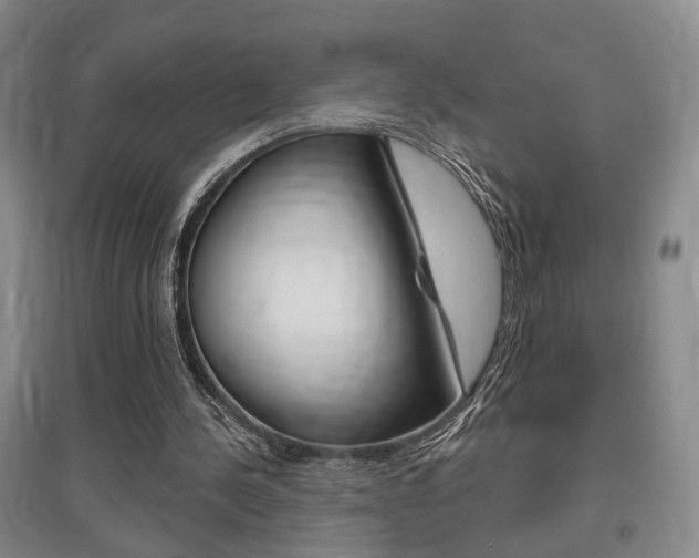 X0000095920244200801110901
