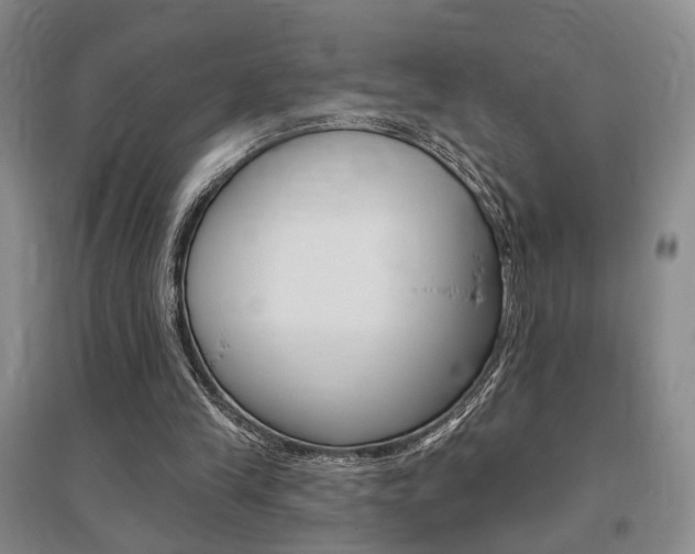 X0000095920245200801110901