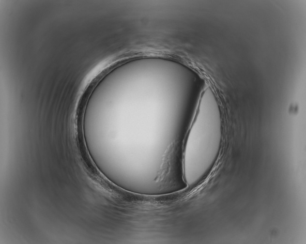 X0000095920246200801110901