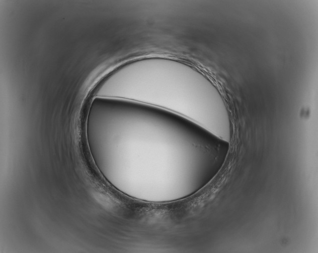 X0000095920247200801110901