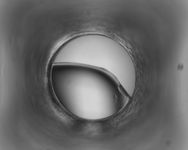 X0000095920248200801110901