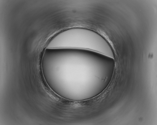 X0000095920249200801110901