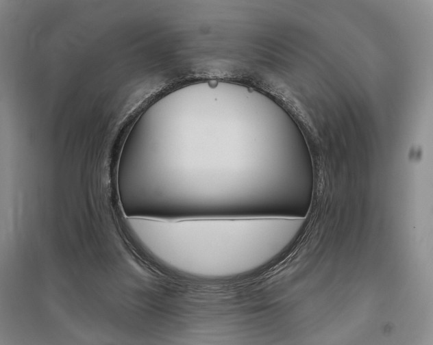 X0000095920251200801110901