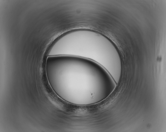 X0000095920252200801110901