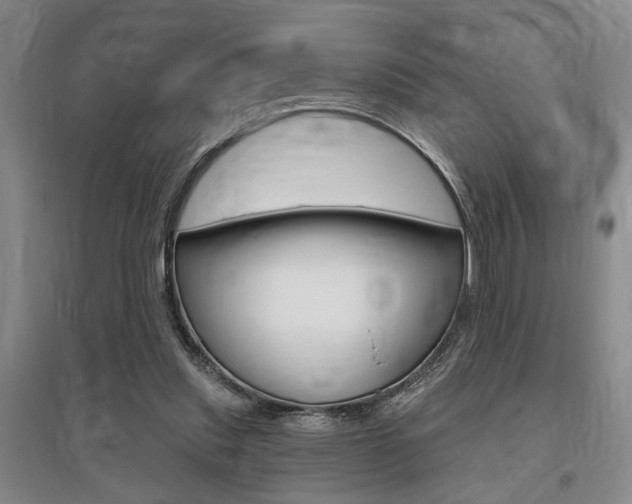 X0000095920253200801110901