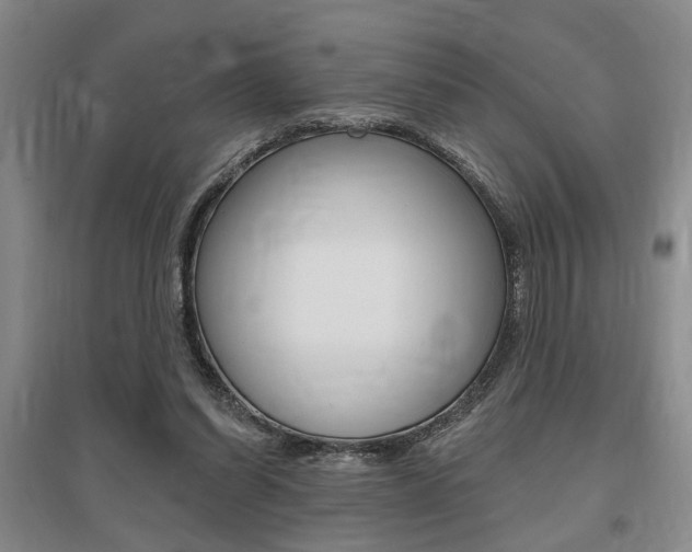 X0000095920254200801110901