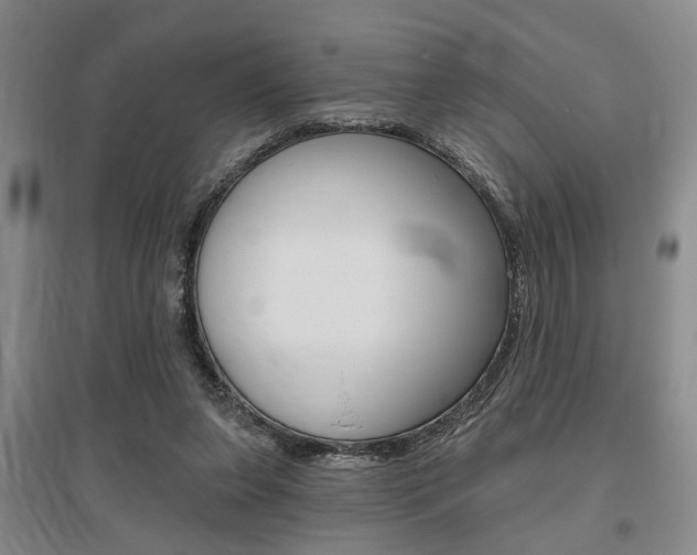 X0000095920255200801110901