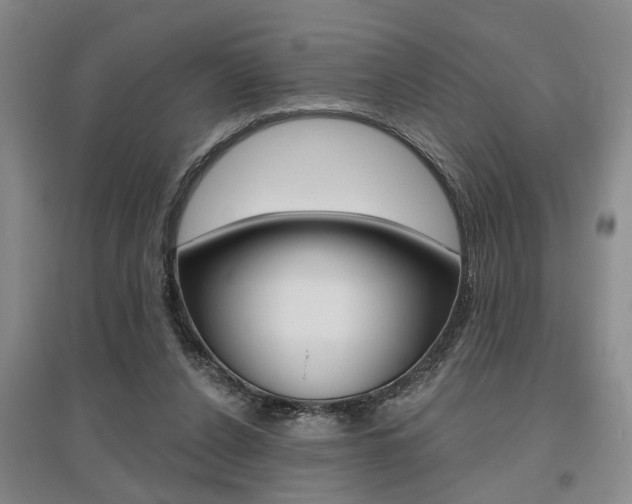 X0000095920256200801110901