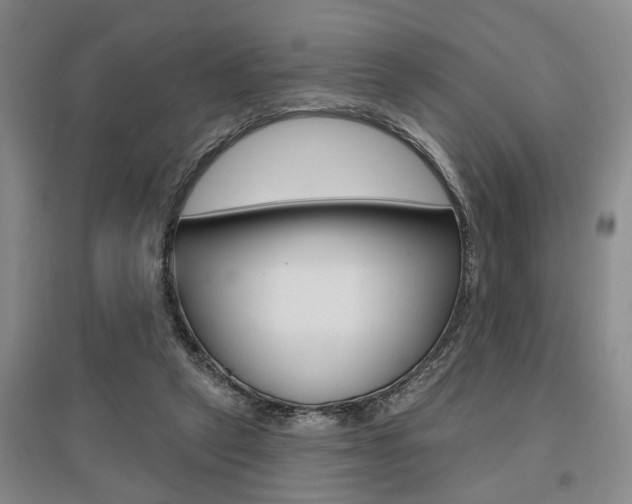X0000095920257200801110901
