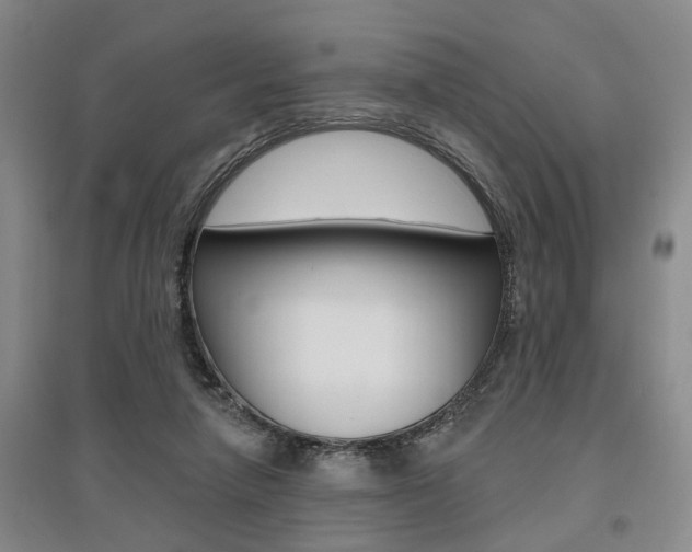 X0000095920258200801110901