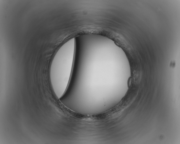 X0000095920259200801110901