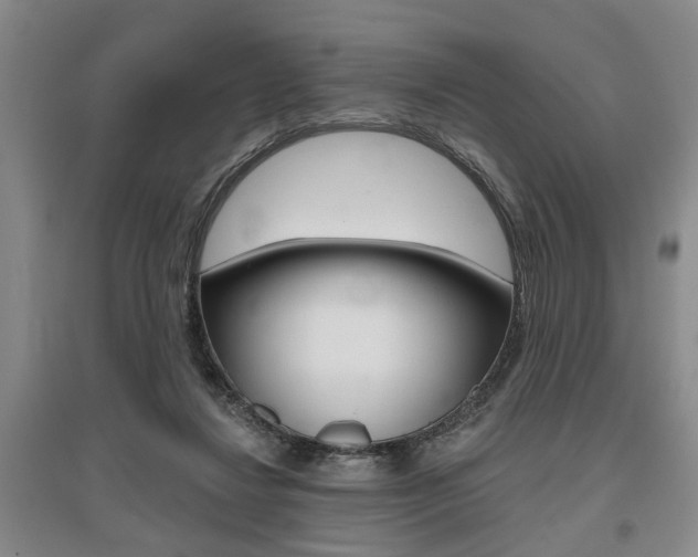 X0000095920260200801110901