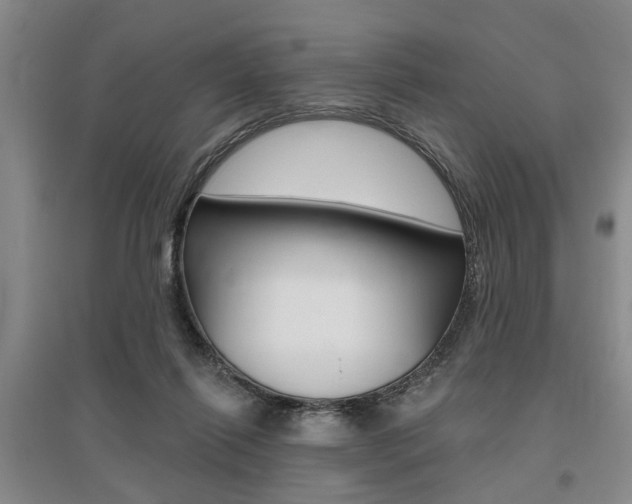 X0000095920262200801110901