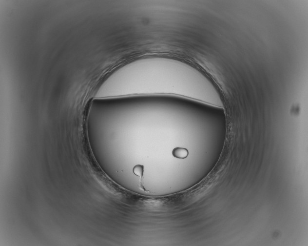X0000095920265200801110901