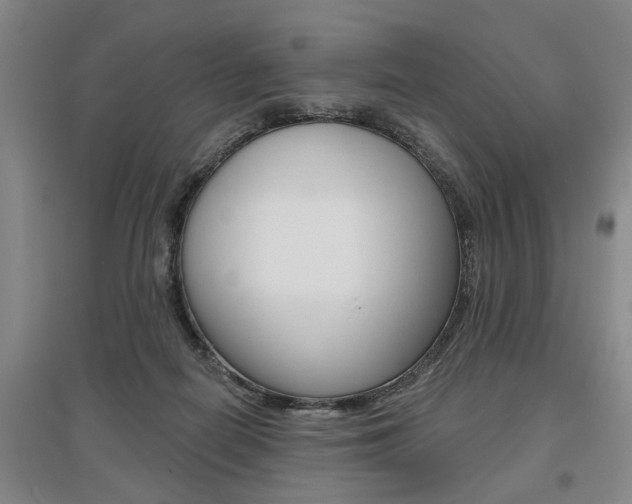 X0000095920266200801110901