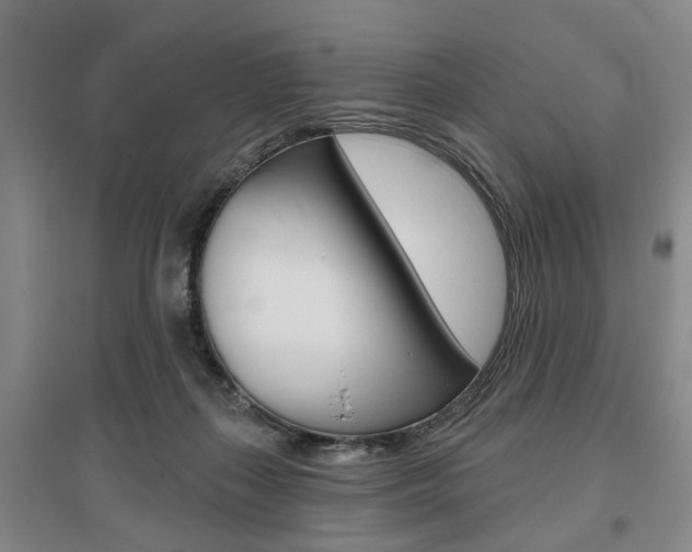 X0000095920267200801110901
